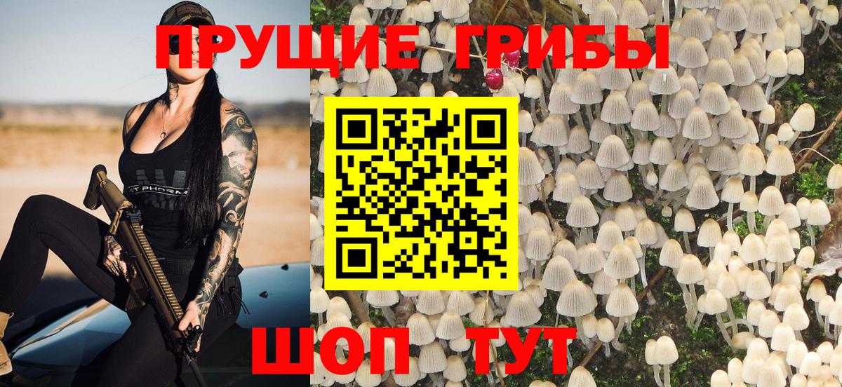 Галлюциногенные грибы Psilocybe Когалым