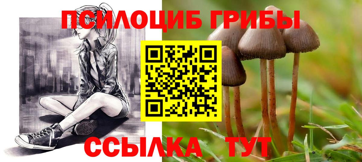 Галлюциногенные грибы GOLDEN TEACHER  Вход с VPN  Когалым  Псилоцибиновые грибы ЛСД 